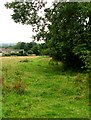 Footpath - Bradford Road, Burley