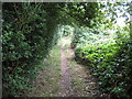 Thorpe: Footpath from Egham Hythe to Norlands Lane