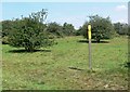 Public footpath near Coleorton