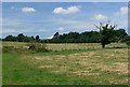 Countryside near Coleorton Hall