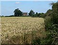 Hall Farm near Coleorton