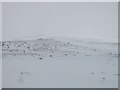 NN5698 : The summit plateau, Geal Charn by Richard Webb