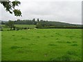 Derryloman Townland