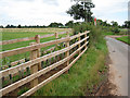 Single track road to Pauntley