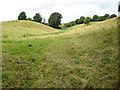 Footpath north from Pauntley