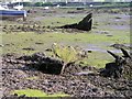 Old wrecks in Llangwm Pill.