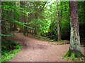 NM9642 : Forest Footpath at Sutherlands Grove by Iain Thompson