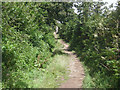 South West Coast path near Point Spaniard