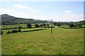 Pasture towards the railway