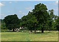 Farmland south of Heath End