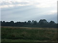 Disused Railway Line