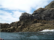 SM6922 : Ramsey Island: basalt rock formation near Porth Lleuog by Keith Salvesen
