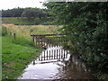 Looking South up the Huntly Burn