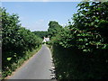 Narrow lane to Fron Cottage, near Fron Isaf