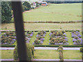 Lavender beds at Bolton castle