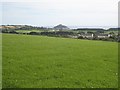 Pasture near Tregender Vean