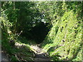 Dry moat, Agaton Fort. Plymouth.