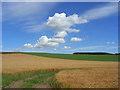 Farmland, Woolstone