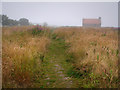 Path to the coast, south of Seahouses