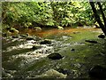 River Teign by Dogmarsh Wood