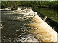 Weir on the Teign