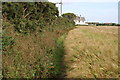 Approaching Madron by Footpath