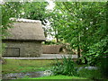 Thatch near Llantrithyd.