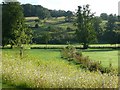 Plantation, Giggleswick