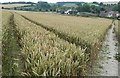 Descent to Great Shefford