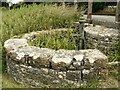 Village pump, St Brides Major.