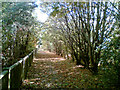 Path from Church Road to the Connahs Quay Road