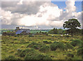 Sheep on moorland near Mirianog Fawr, Meline