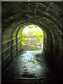 Foot path under Bridge over Calder Water