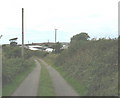 Cae-gwyn plant nursery, Llechcynfarwydd