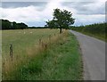 Mill Lane near Shenton