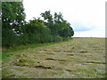 Hay field south of Eaton Bishop