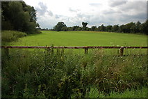 SO9535 : River meadow near Aston on Carrant by Philip Halling
