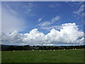 Cumulus to the west