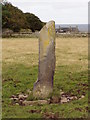 ND3554 : Ackergill Mains  Standing Stone by Ewen Rennie