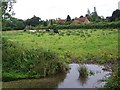 Water meadows, Wimborne St Giles