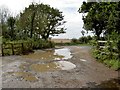 A flooded Kings Wood car park entrance