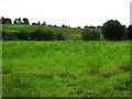 Curraghlane Townland