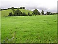 Derryhoney Townland