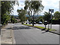 Looking Down Toton Lane