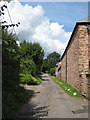 Narrow lane to Bollitree