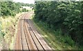 View from Branch Street Bridge - Paddock