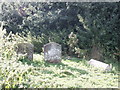 Abandoned Graves, Westley Old Church
