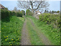 Wychavon Way approaching Church Lench