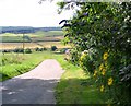 The Road from Mains of Auchindachy