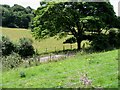 Stonyway Lane from Lowslip Hill